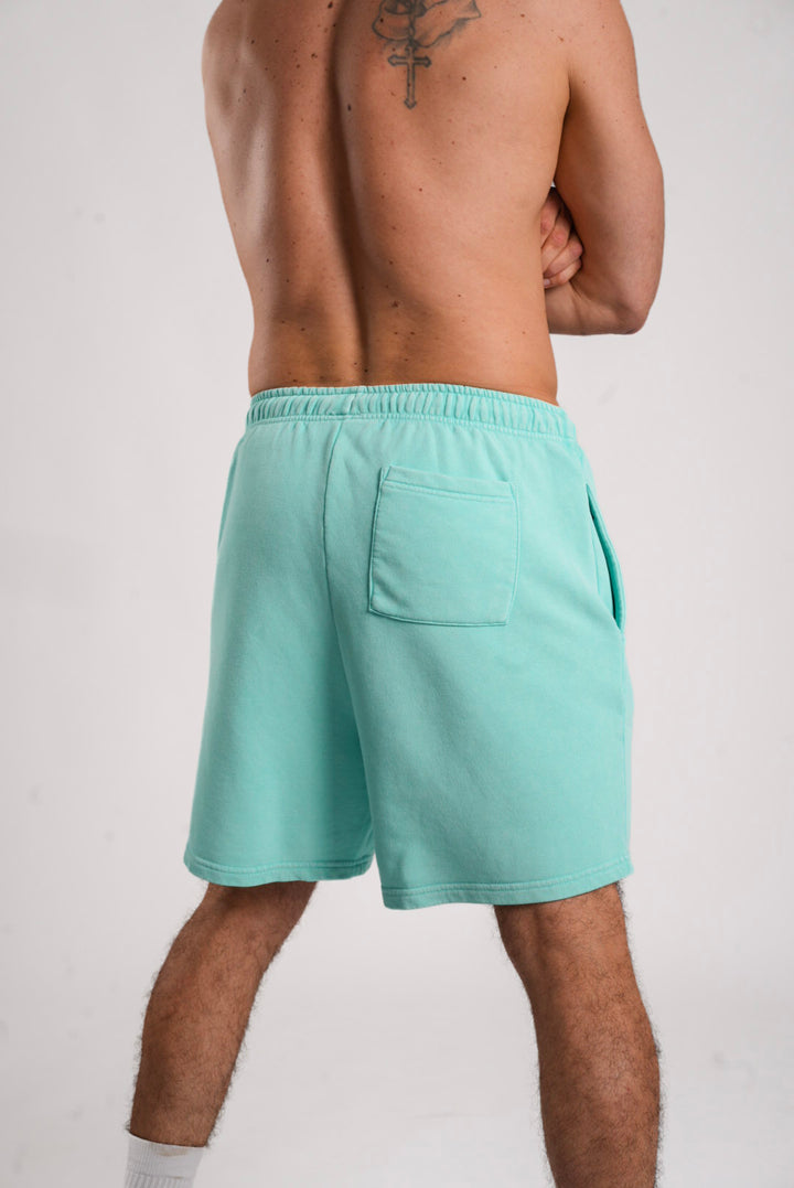 Washed Cotton Shorts